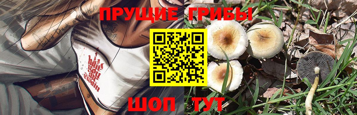 Галлюциногенные грибы Magic Shrooms  Галлюциногенные грибы мицелий  Вход с VPN  Старая Купавна 