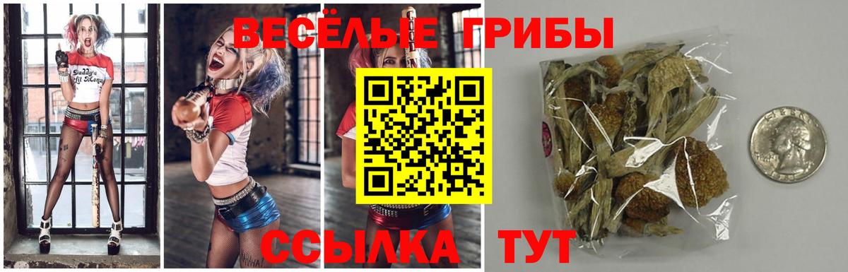 Галлюциногенные грибы мицелий Старая Купавна